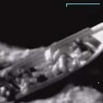 Video shows final, confused moments of survivors of US boat strike in Caribbean