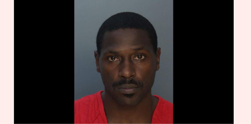 Ex-NFL star Antonio Brown hopes to use Stand Your Ground law to get attempted-murder charge dropped
