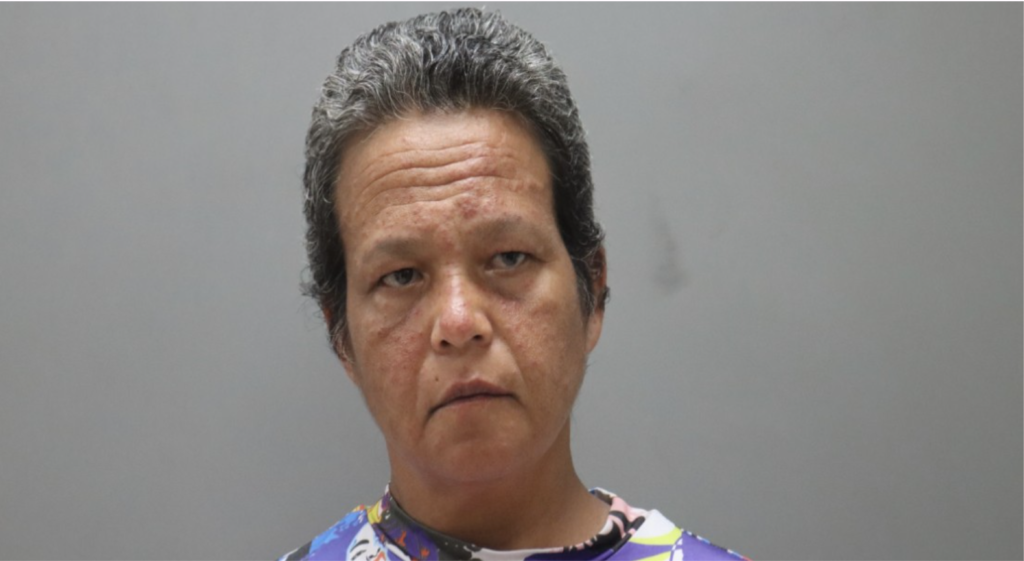 Fisticuffs at old folks home over food stamps, bank cards lands woman in jail