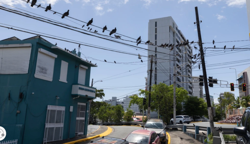 Puerto Rico sues Luma in first push to cancel contract with private power company