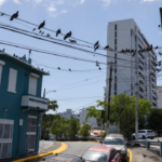 Puerto Rico sues Luma in first push to cancel contract with private power company