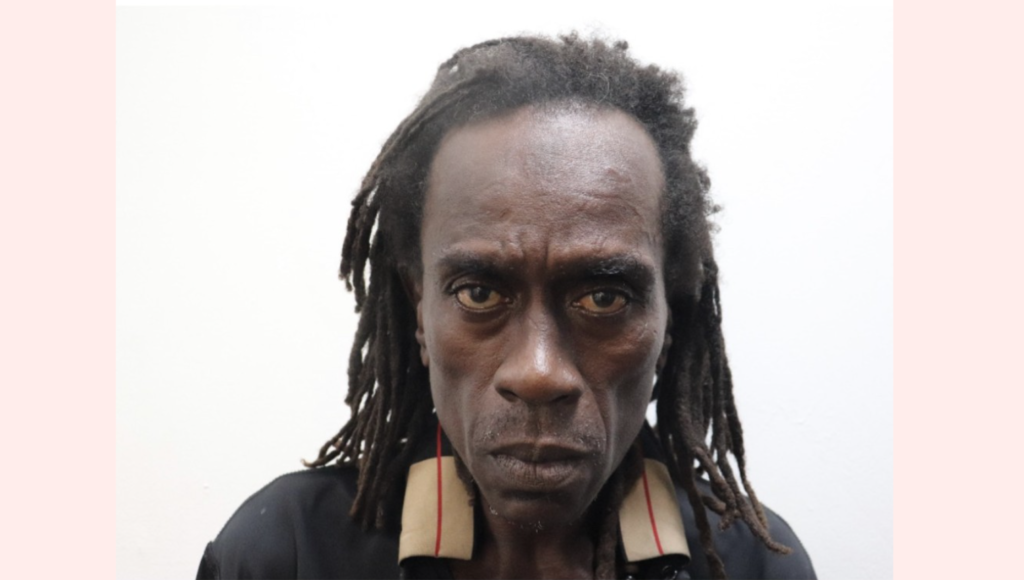 Smith Bay cat burglar who preyed on sleeping homeowners caught by cops