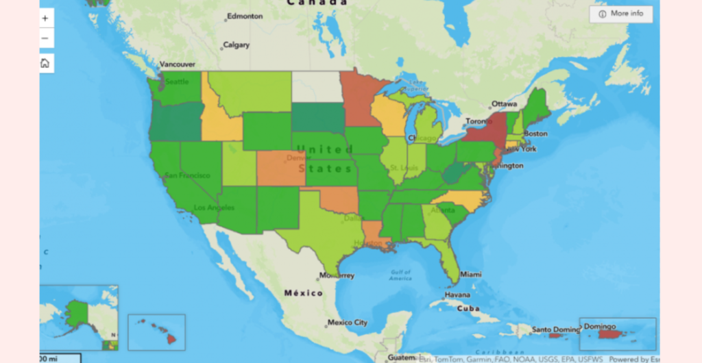 Puerto Rico, New York and Hawaii top influenza outbreak list