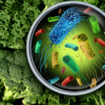 DOH launches online food and water safety complaint portal