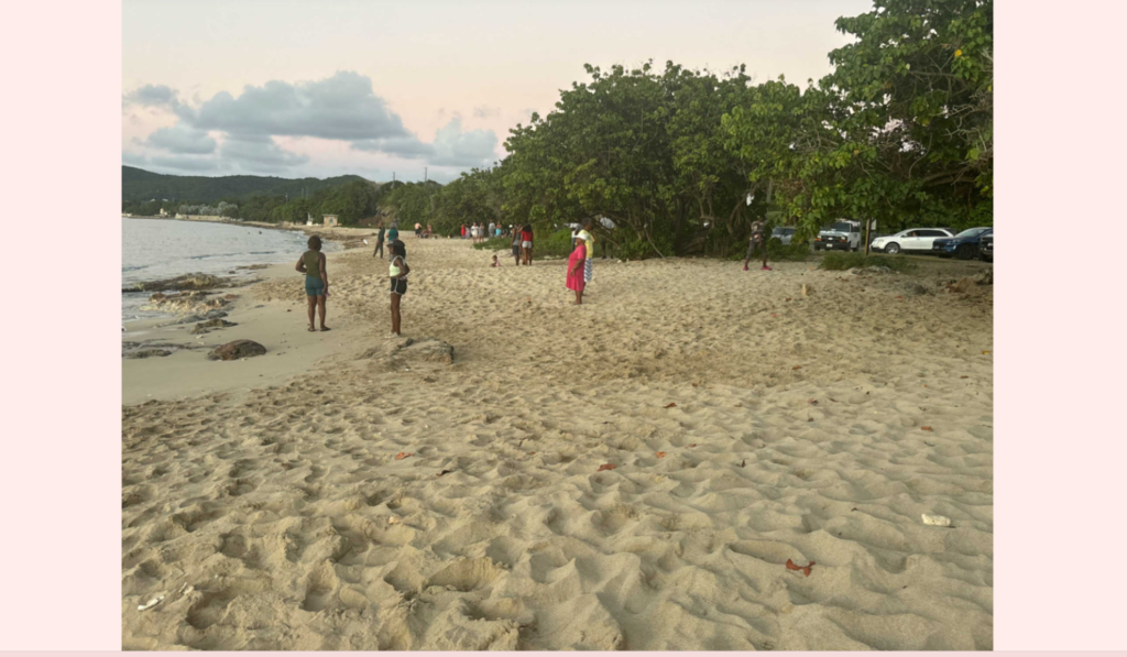 Officials say a shark killed an American woman along a beach in St. Croix