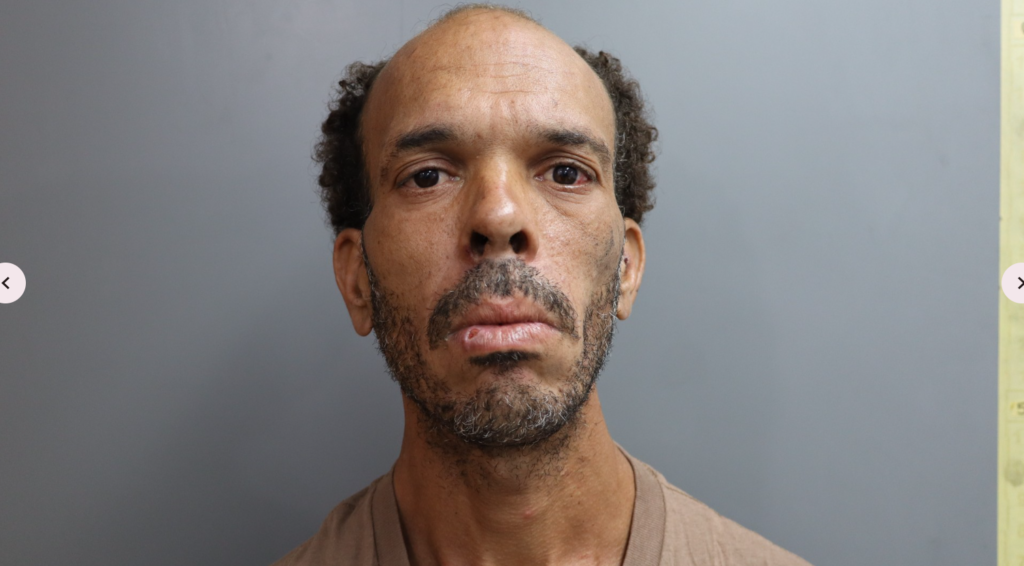 ‘Human hurricane’ destroys ‘storage room, pump room, tool shed’: DV report