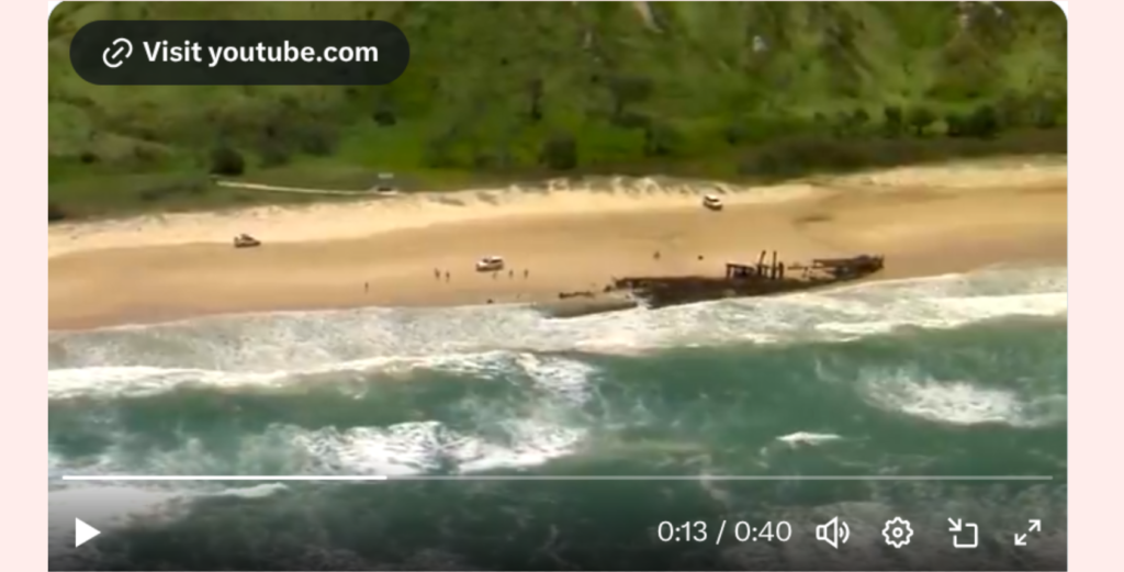 Teenage Canadian tourist found dead on Australian beach surrounded by dingoes