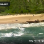 Teenage Canadian tourist found dead on Australian beach surrounded by dingoes