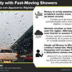 Partly sunny and windy with a shower in places, high 87