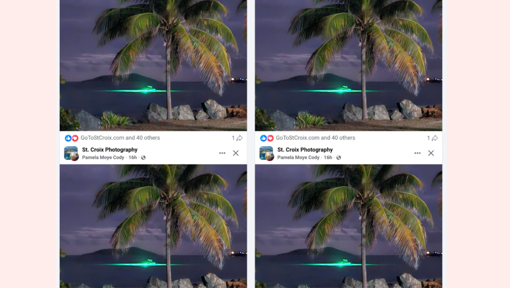 The ‘Living Lights’ Bioluminescence of Beautiful Saint Croix