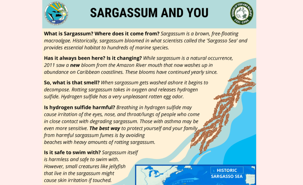 ROTTEN EGGS & RECORD BREAKERS: DPNR Warns of 1.7 Million Ton Sargassum Tidal Wave for 2026