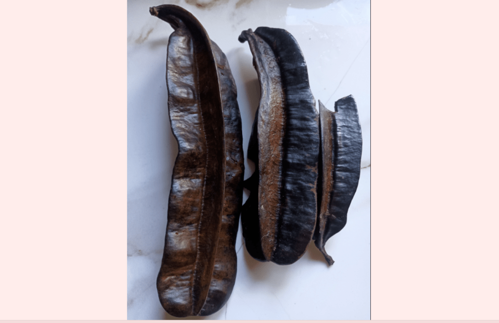 🌿 THE HEALING POWER OF PREKESE